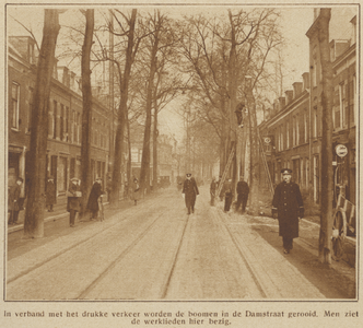 871589 Afbeelding van het rooien van de bomen in de Damstraat te Utrecht, vanwege het drukke verkeer in de straat.